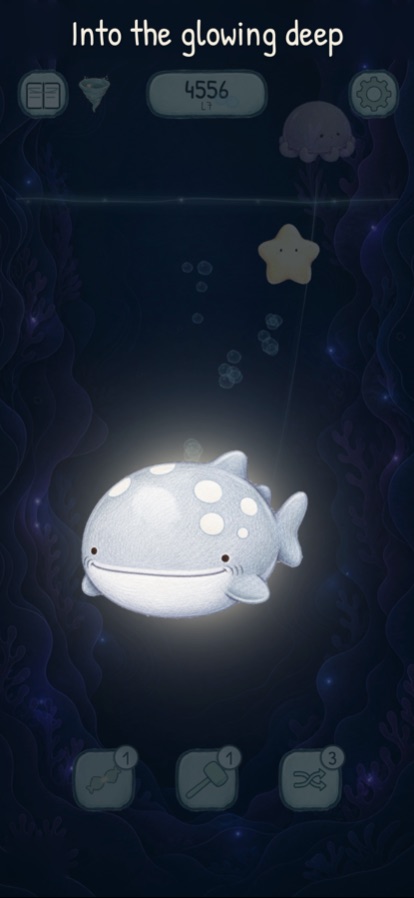 Whale shark encounter